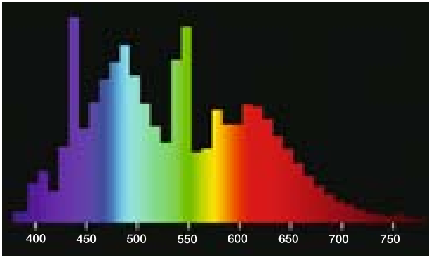 Спектр Biolux 965